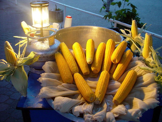 Corn Photo Credit