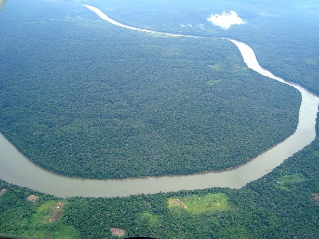 Aerial view of the Amazon rainforest.