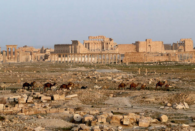 Ruins of Palmyra Photo Credit