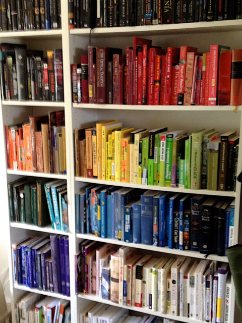 An overly organized bookshelf. Photo Credit