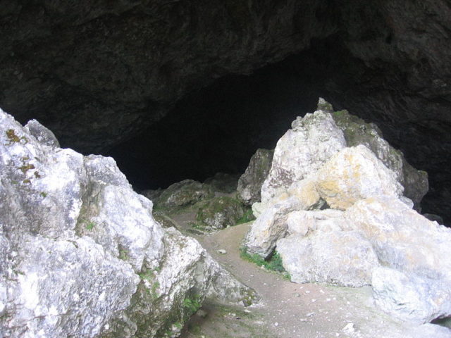 Potok Cave, a cave in the Eastern Karawanks, where the remains of a human residence, dated to the Aurignacian (40,000 to 30,000 BP), including a bone flute, were found by Srečko Brodar in the 1920s and 1930s. This marks the beginning of Paleolithic research in Slovenia. Photo Credit