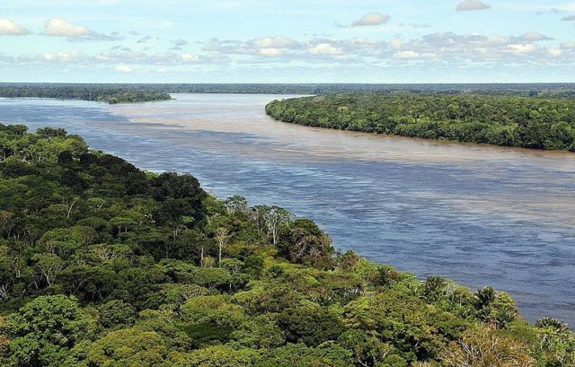 Aerial view of the Amazon rainforest, near Manaus Photo Credit