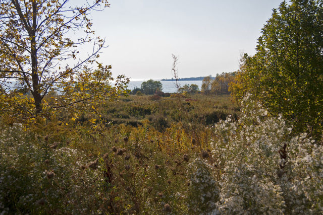 A view of part of the site of Camp X looking towards Lake Ontario, photo credit