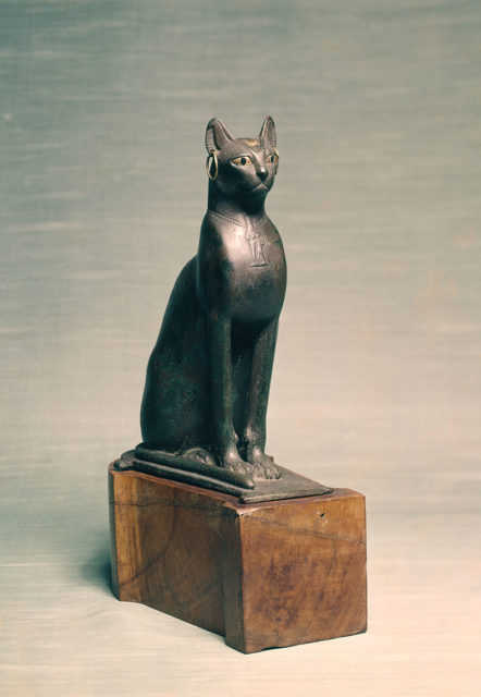 This seated cat has golden earrings, a golden scarab inlaid on the forehead, and a necklace with a pendant in low relief