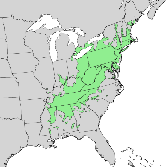 A map illustrating how the American chestnuts are being naturally distributed on the East Coast