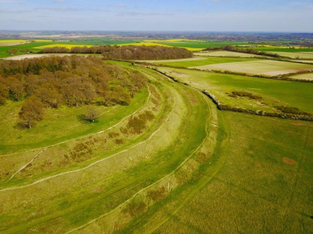 Badbury Rings is one of the largest Iron Age forts in Britain.