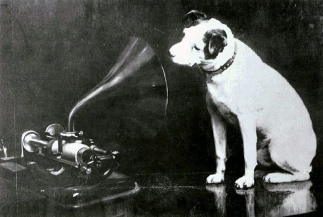 Francis Barraud’s original painting of Nipper (1884–1895), looking into an Edison Bell cylinder phonograph.