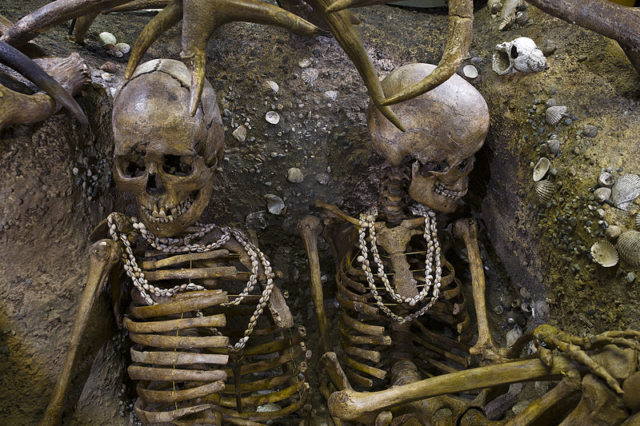 A Stone Age burial in Brittany, dating from 5000-7000 BC, shows the skeletons of two women who were buried wearing necklaces made of numerous shells of the sea snail. Photo Credit