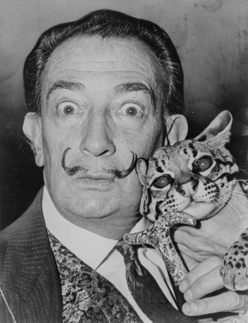 The designer of the logo, Salvador Dalí in the 1960s. Photographed with his signature mustache, and Babou, his pet ocelot
