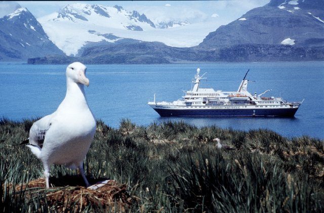 World Discoverer anchored in South Georgia. Photo Credit