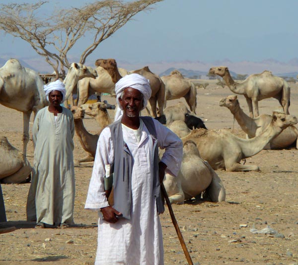 Beja men and their camels, Author: Nikswieweg   CC BY-SA 3.0