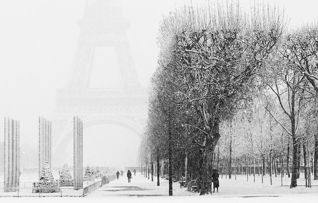 Eiffel Tower in cold winter, Paris