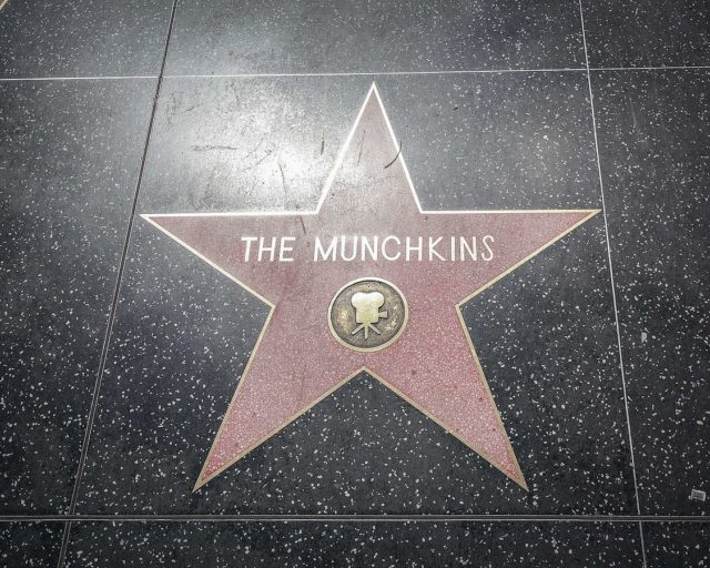 The Munchkins’ star on the Hollywood Walk of Fame. Author Visitor7  CC BY-SA 3.0