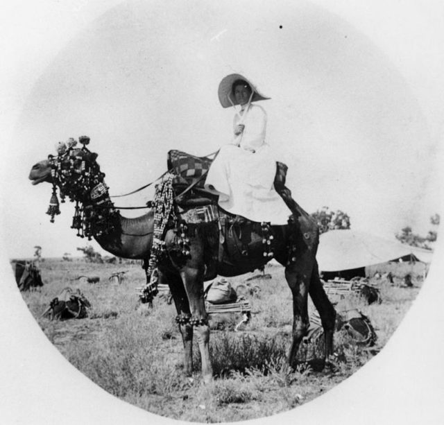 Camels were imported to Australia during the Victorian era; even then, women were expected to ride sidesaddle (Queensland, 1880).