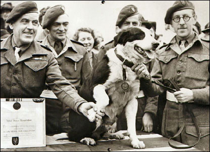 It was not unusual for animals to be awarded medals for sacrifice and duty during WWII. Here’s a photo of Rob the Collie receiving his Dickin Medal during the North African Campaign in 1945.