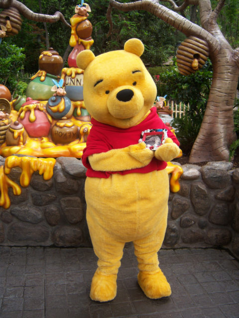 Winnie the Pooh. Photo Credit