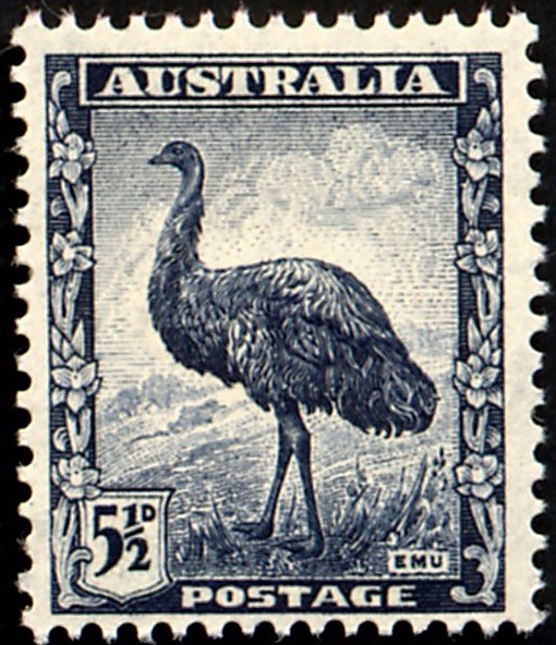 Emu on a postage stamp of Australia issued 1942
