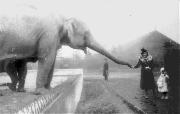 The zoo in 1938