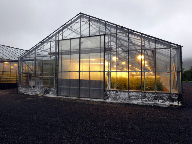 Greenhouses in Hveragerdi, south Iceland. Author, amanderson2, CC – BY 2.0.