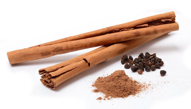 Cinnamon was a spice that the Egyptians imported as early as 2000 BCE. It was a valuable ingredient among ancient nations, so much so that it was a gift to monarchs and even to gods. In the Middle Ages the origin of cinnamon was kept secret by the middlemen who handled the spice trade in order to protect their monopoly. However, today it is known that cinnamon is native to Sri Lanka, India, Burma, and Bangladesh. Author: Simon A. Eugster. CC BY-SA 3.0.