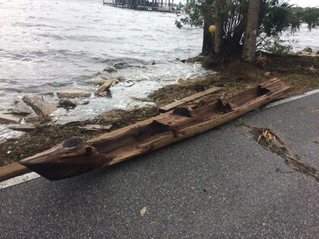 Cypress Dugout canoe kicked out of the bottom of the Indian River during Hurricane Irma. Author Randy Shots