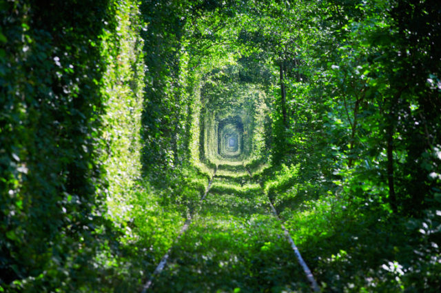 ‘Tunnel of Love’ in Ukraine