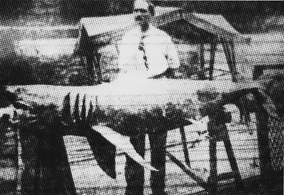 German American Michael Schleisser and the great white shark caught in Raritan Bay purported to be the “Jersey man-eater” as seen in the Bronx Home News