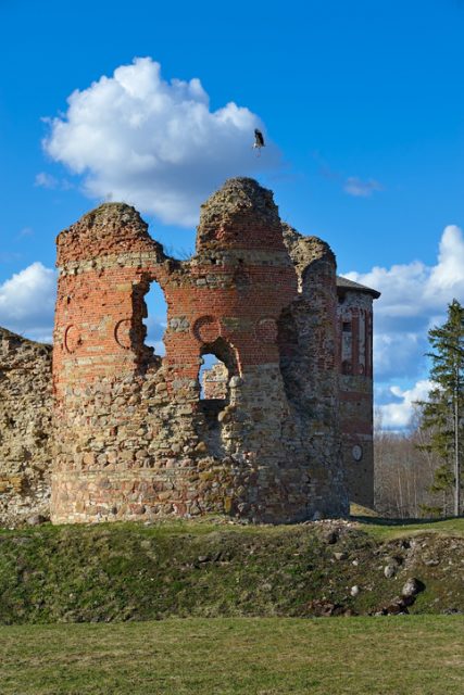 Ruins of an old castle Vastseliina (Estonian: Vastseliina piiskopilinnus, German: Neuhausen) with stork. Near Vastseliina, Estonia