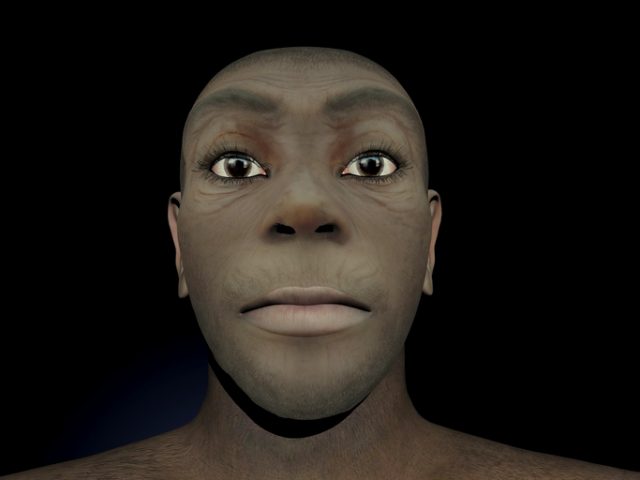 Homo erectus female – 3D render