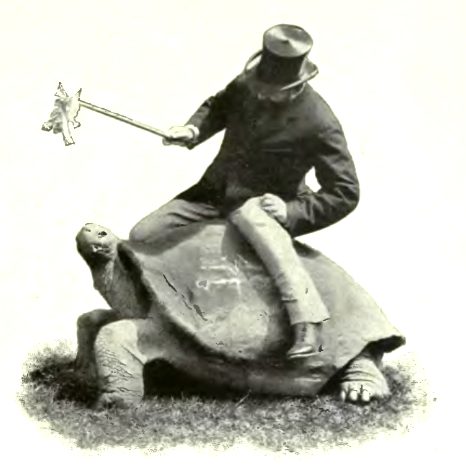 Lord Rothschild on a giant tortoise
