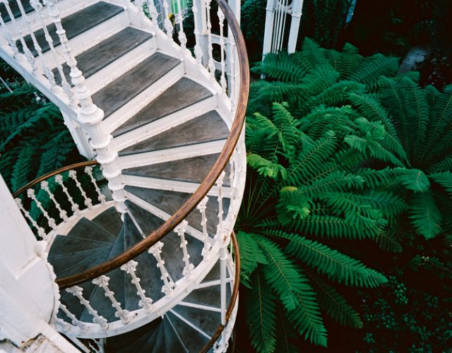 Spiral Staircase at the Greenhouse in Kew Garden
