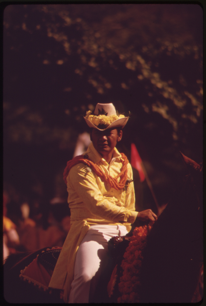 Hawaiian cowboys customarily wear flowers on their hats, October 1973