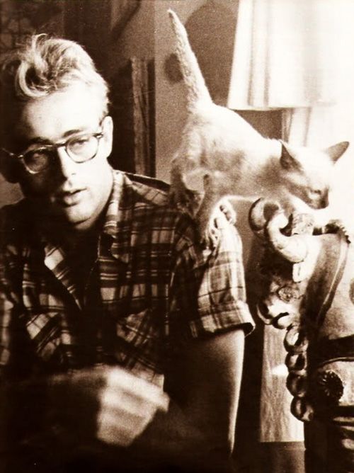 James Dean and his cat Marcus. 1955.