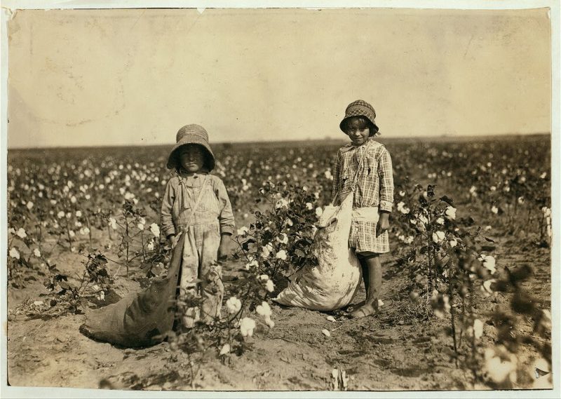 Jewel and Harold Walker, 6 and 5 years old, pick 20 to 25 pounds of cotton a day