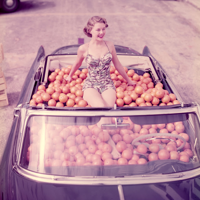 This is what alot of oranges looked like at the Miami Orange Bowl Game, 1951.
