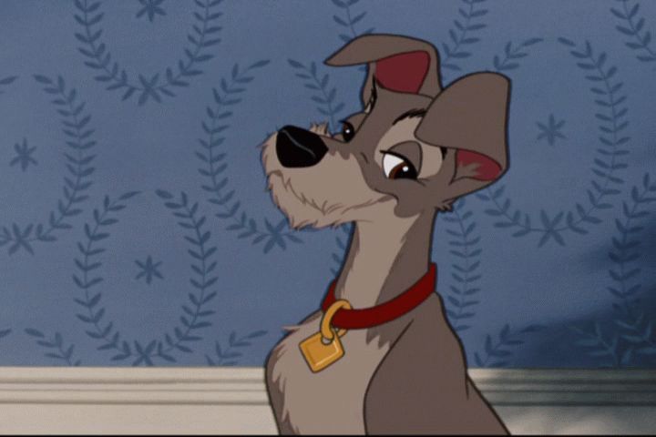 Tramp from Lady and the Tramp was almost named Homer, Rags, or Bozo