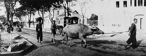 Traffic in Catinat Street (Dong Khoi now) in 1890