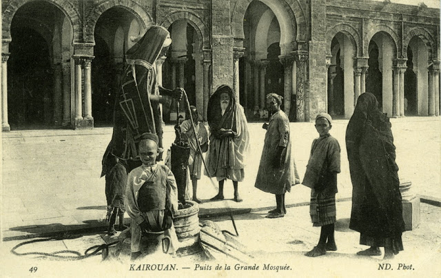 Old Photos of Tunisia in The Late 19th Century (14)