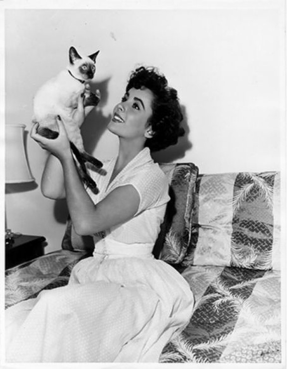 Old Portraits of Young Elizabeth Taylor with Her Cats (2)