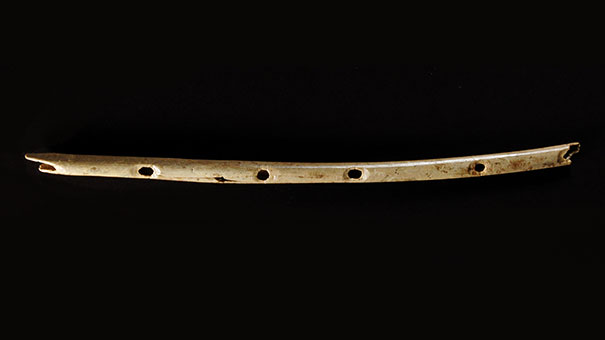 Oldest Instrument (40,000 years old)