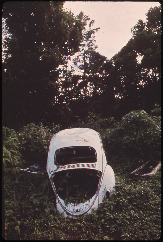 Abandoned Car Off Highway in Rio Grande.