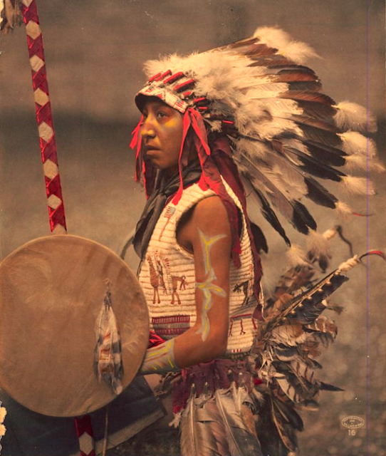 Charles American Horse (the son of Chief American Horse). Oglala Lakota. 1901. Photo by William Herman Rau. Source - Princeton Digital Library.