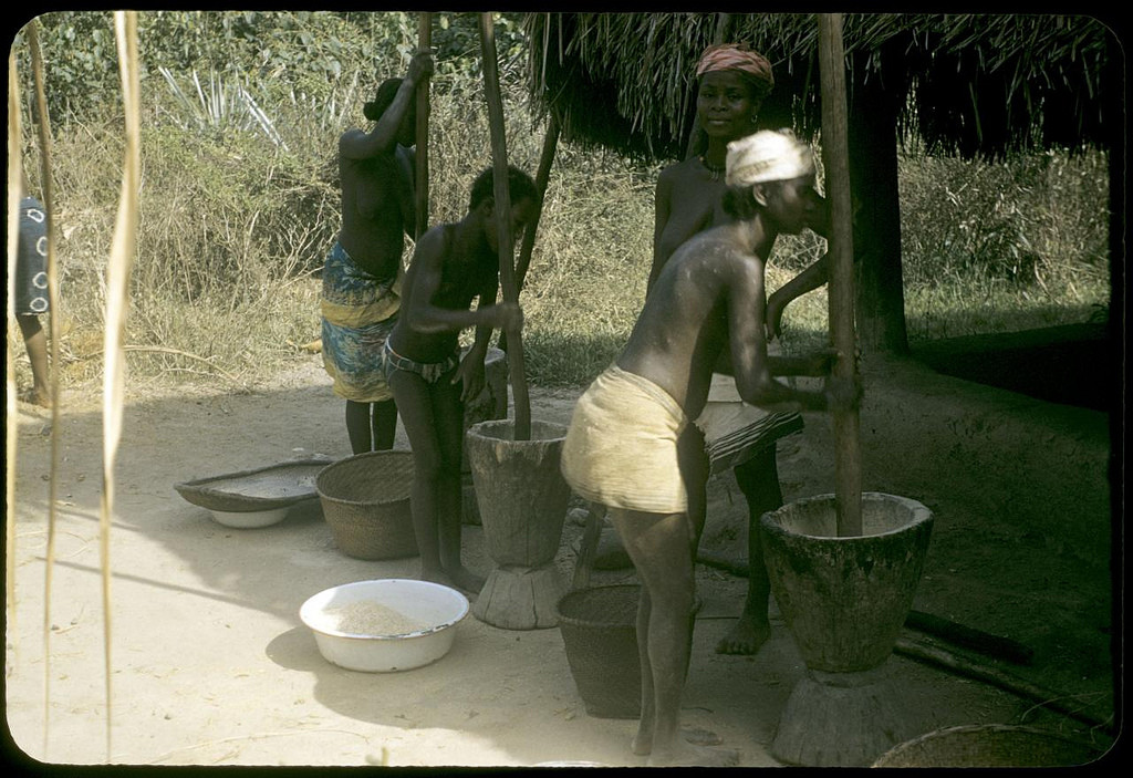 Powdering rice on the farm, 1958. William Gotwald Liberia mission slides, 1957-1960. ELCA Archives scan. http://www.elca.org/archives