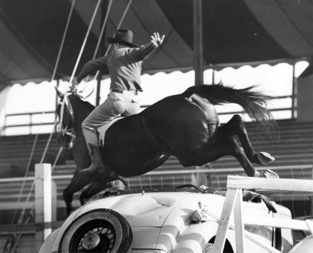 A cowboy and his horse leap over a car during the Cavalcade of Centaurs
