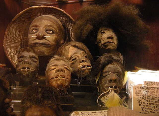Shrunken heads in the permanent collection of Ye Olde Curiosity Shop. source