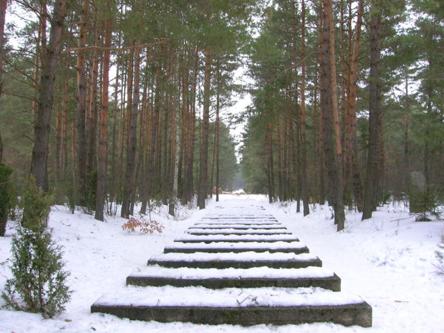The symbolic remains of the railroad in Treblinka.Source