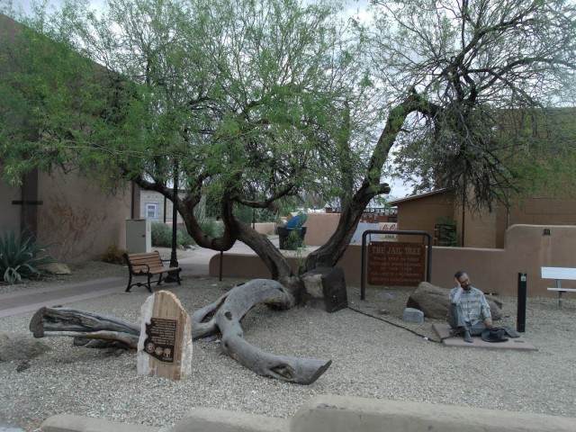When any criminal was apprehended, they were sentenced to the tree and chained there until a sheriff from Phoenix could get down to Wickenburg to collect them. source