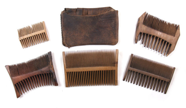 A set of combs found on the 16th-century ship Mary Rose Source
