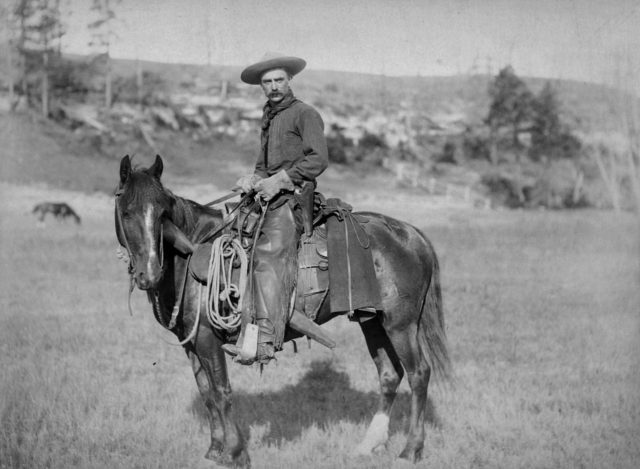 American cowboy, 1887