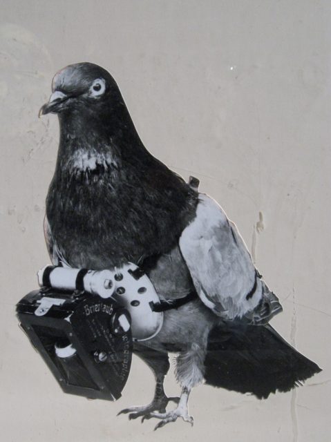 Dr. Julius Neubronner patented a miniature pigeon camera activated by a timing mechanism. Source